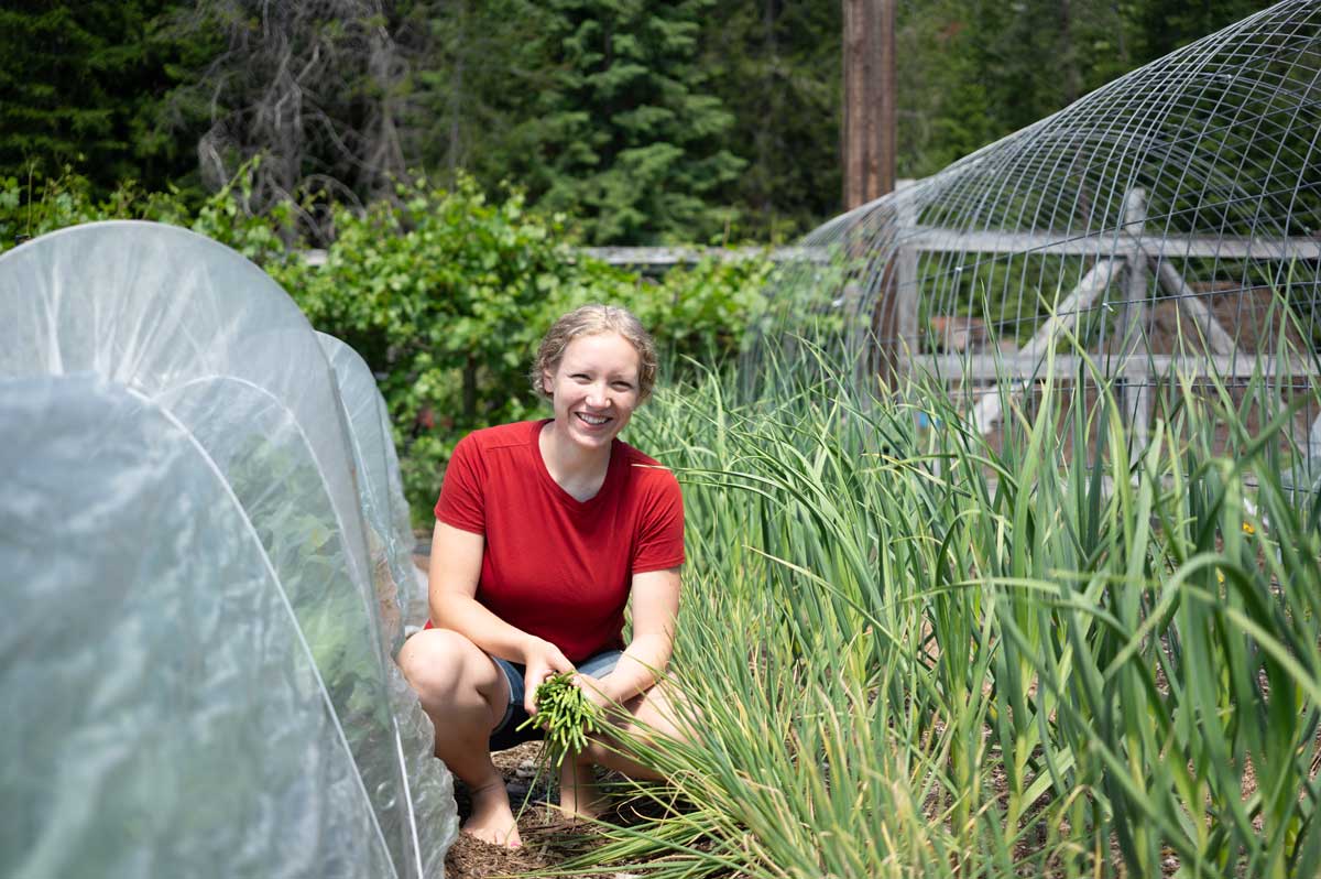A young woman harvesting garlic scapes in the garden.