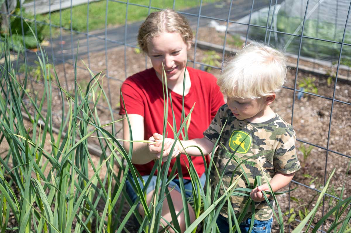 A young woman with a little boy picking garlic scapes in the garden.