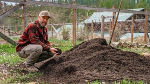 A man by a compost pile with a handful of finished compost.