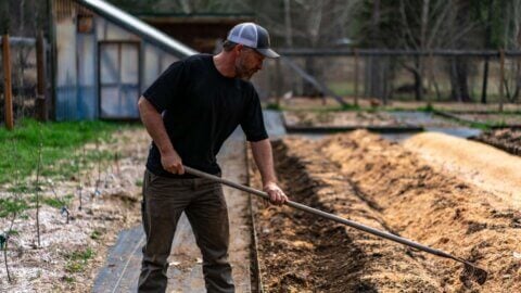A man raking in the garden.
