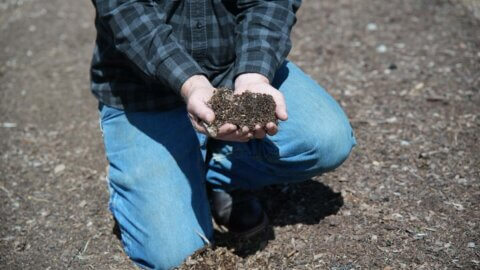 A man holding loamy soil in his hands.