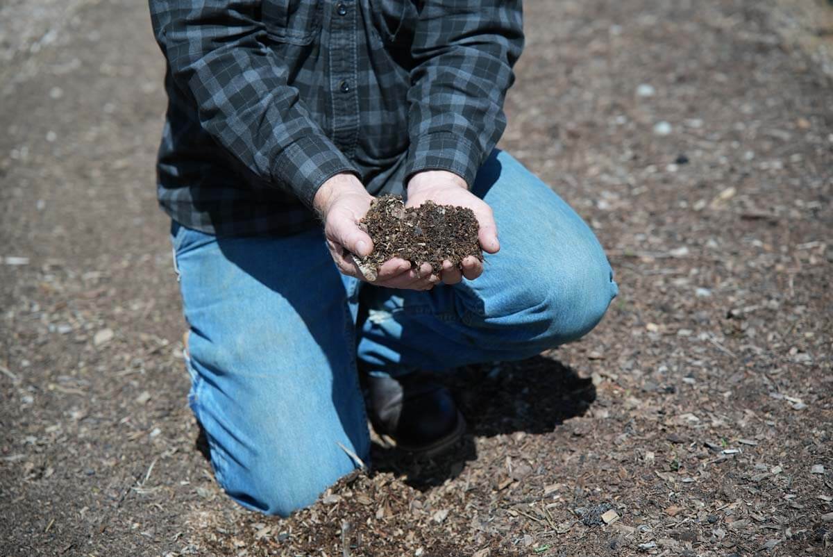 A man holding loamy soil in his hands.
