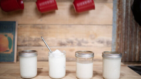 Four jars of rendered lard sitting on a counter.