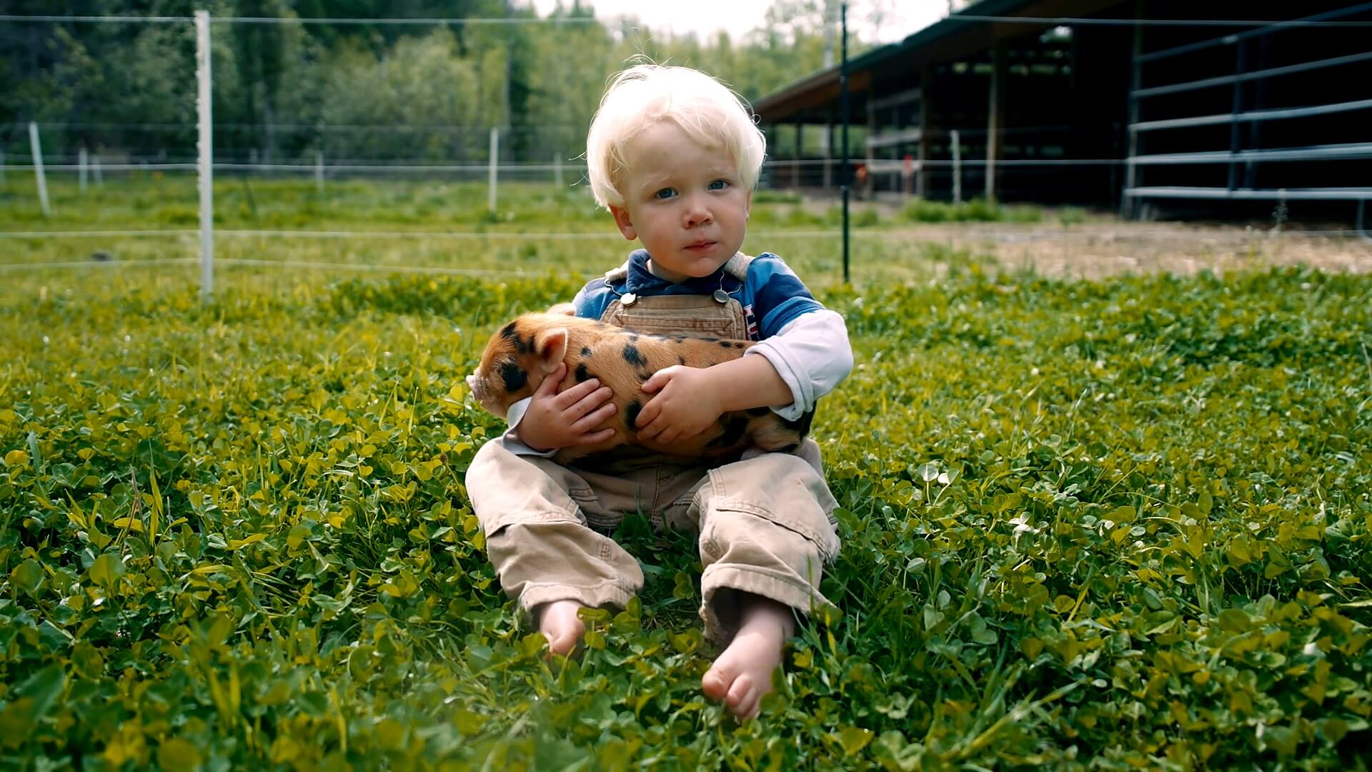 A small child holding a baby pig.