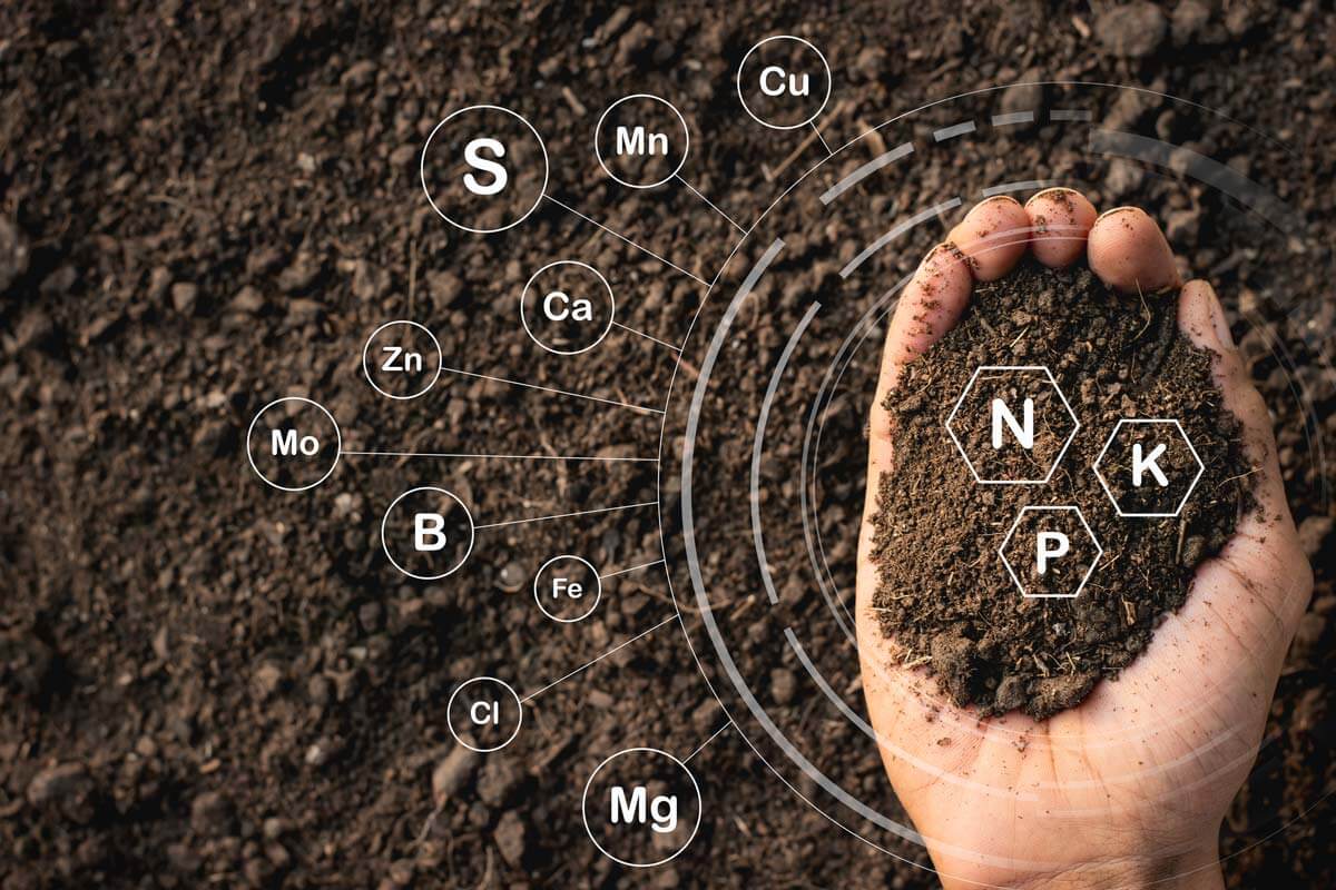 A hand holding soil with mineral symbols around it.