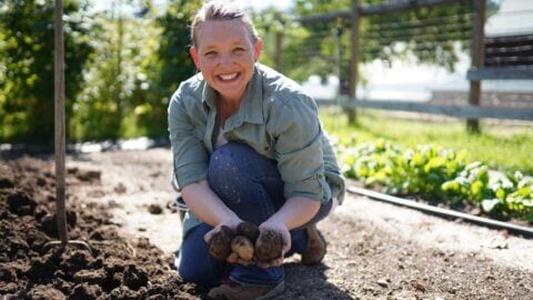A woman holding potatoes she just dug up from the garden.