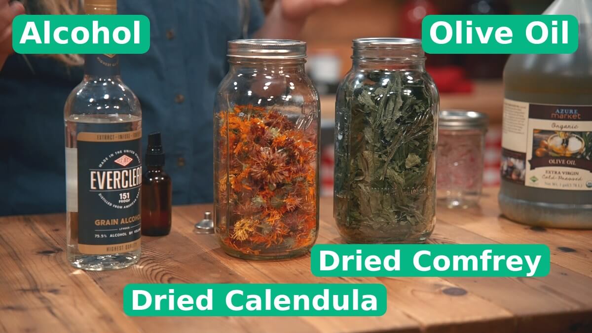 Ingredients to make a comfrey and calendula oi..