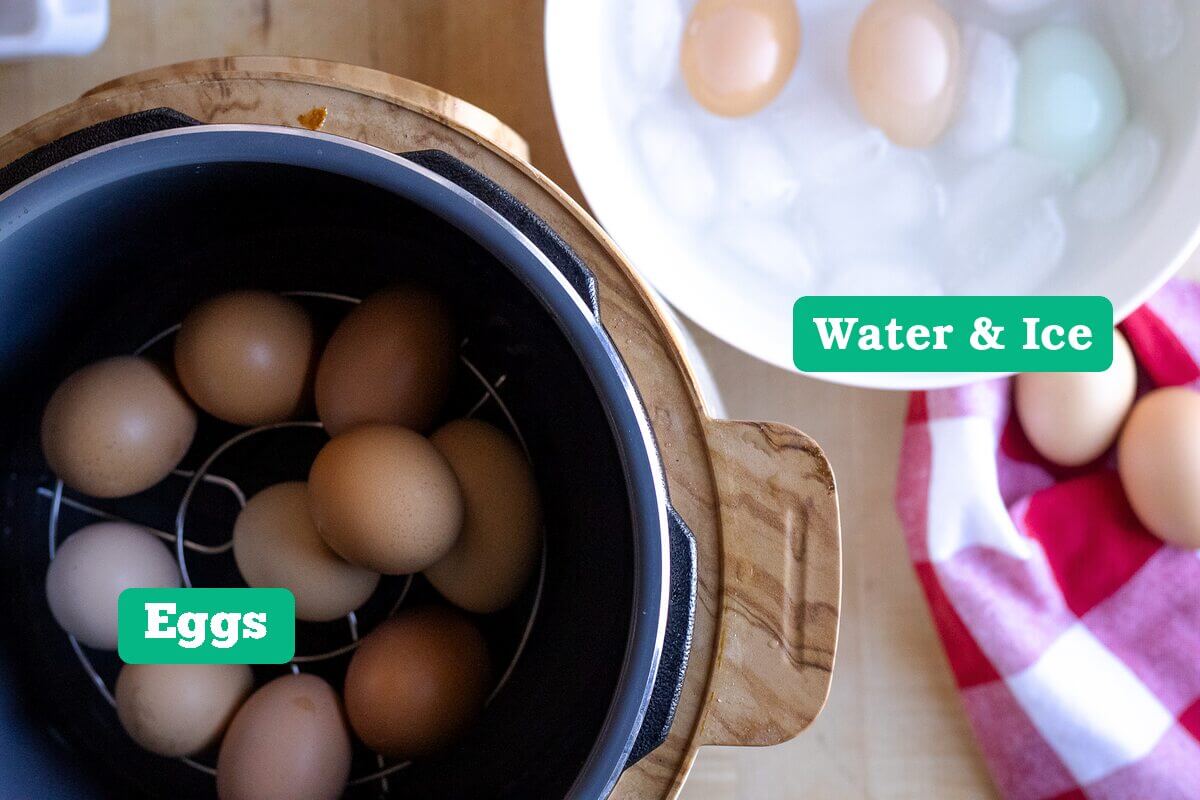 Instant Pot hard-boiled eggs ingredients: eggs, water, and ice.