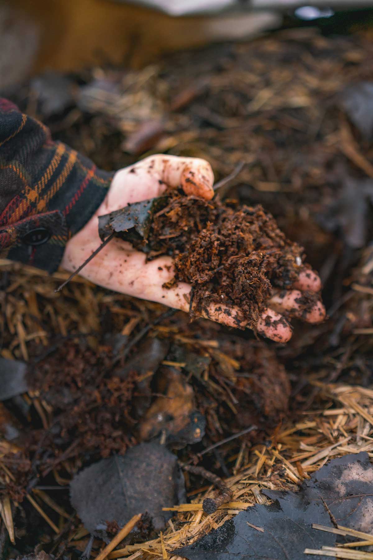 A handful of compost.