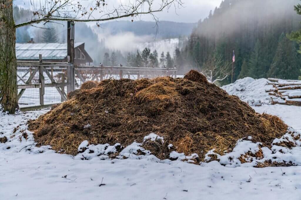 A steaming compost pile with snow all around it.