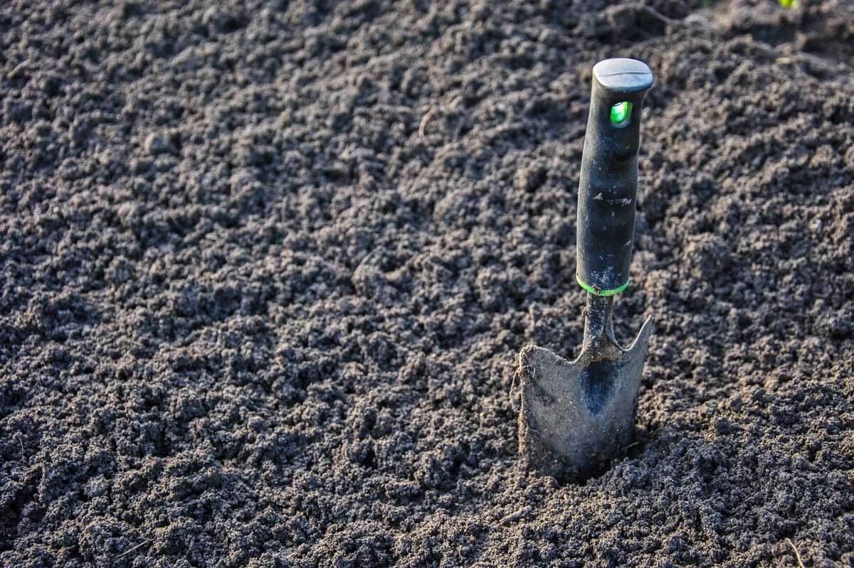 A shovel in soil.