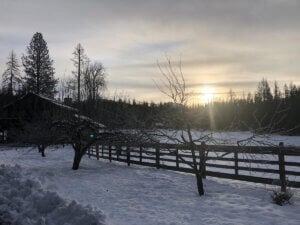 Sunset in winter on a homestead.
