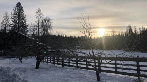 Sunset in winter on a homestead.