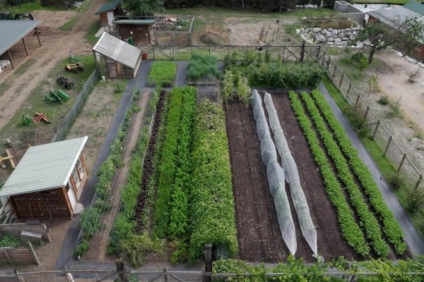 Aerial Garden View_HF An aerial view of a large garden.