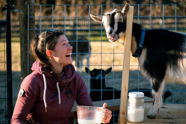 A woman sitting next to a goat in a milk stanchion.