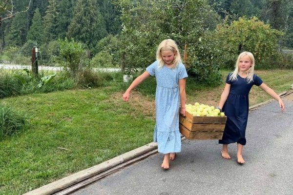 Two young girls carrying a crate of apples.