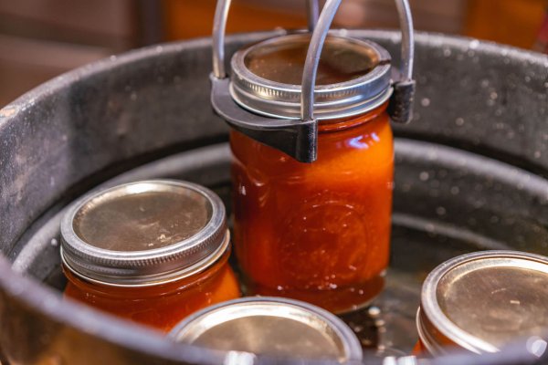 Jars of home canned tomato sauce in a water bath canner.