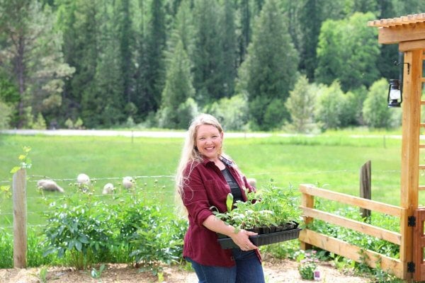 Carolyn_Seedlings_Cottage-Garden A woman carrying a tray of seedlings to the garden.