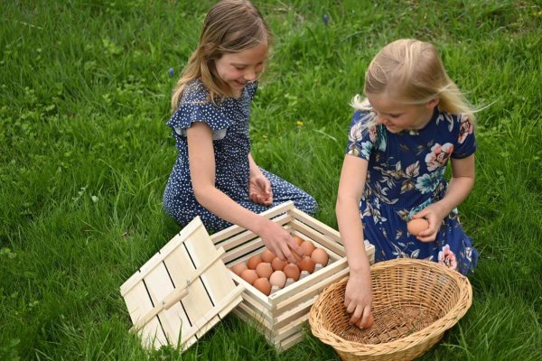 Two young girls arranging eggs.