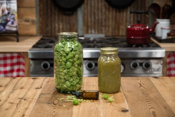 Hops-Tincture-and-Dried-Hops_HF A jar of hops and a jar of hops tincture.