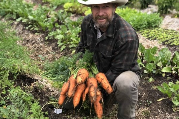 Man holding carrots just pulled from the garden.