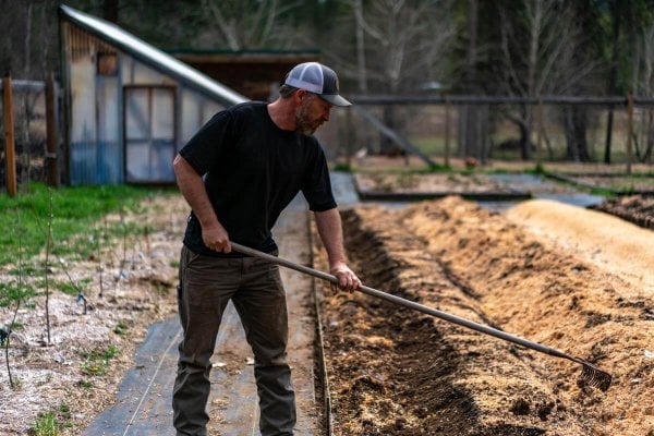 A man raking in the garden.