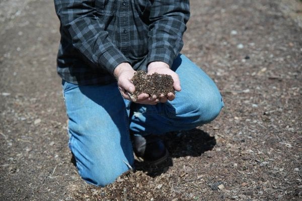 A man holding loamy soil in his hands.
