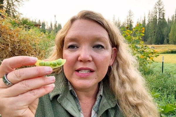 A woman holding up a pea pod, revealing the peas inside.