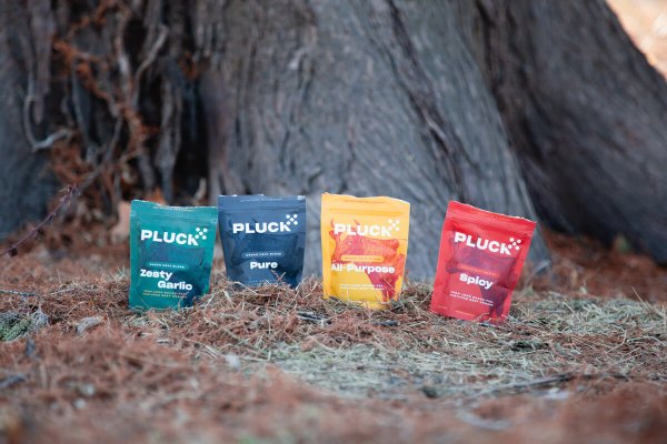 Four seasoning packets of Pluck by a tree.