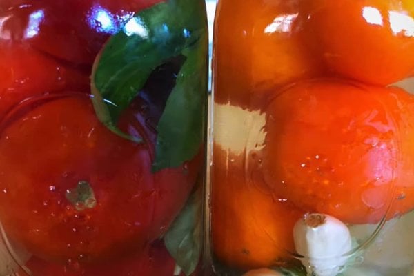 Two jars of fermented tomatoes.