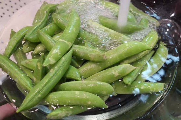 Washing-Peas_Amy-Cross_HF Peas being washed in a colander.