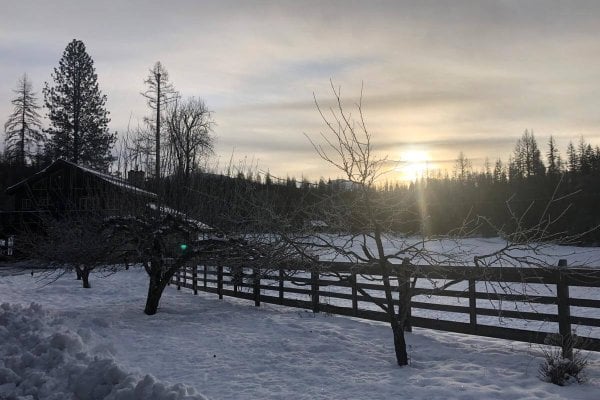 Sunset in winter on a homestead.