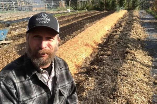 A man in his garden next to garden rows that have been freshly mulched.
