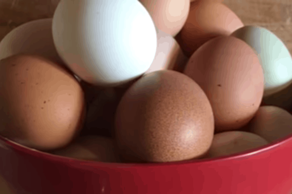 Farm Fresh Eggs A bowl of farm fresh eggs.
