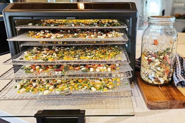 Food on dehydrator trays.